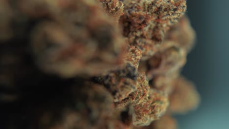 A-vertical-macro-cinematic-detailed-shot-of-a-cannabis-plant,-orange-hybrid-strains,-Indica-and-sativa-,green-marijuana-flower,-on-a-rotating-stand,-slow-motion,-4K-video,-studio-lighting