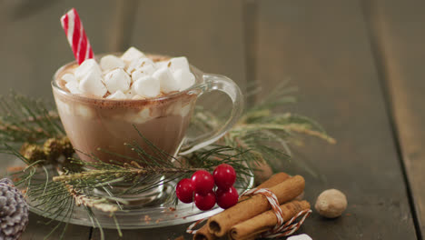 video of cup of hot chocolate with marshmallows over wooden background