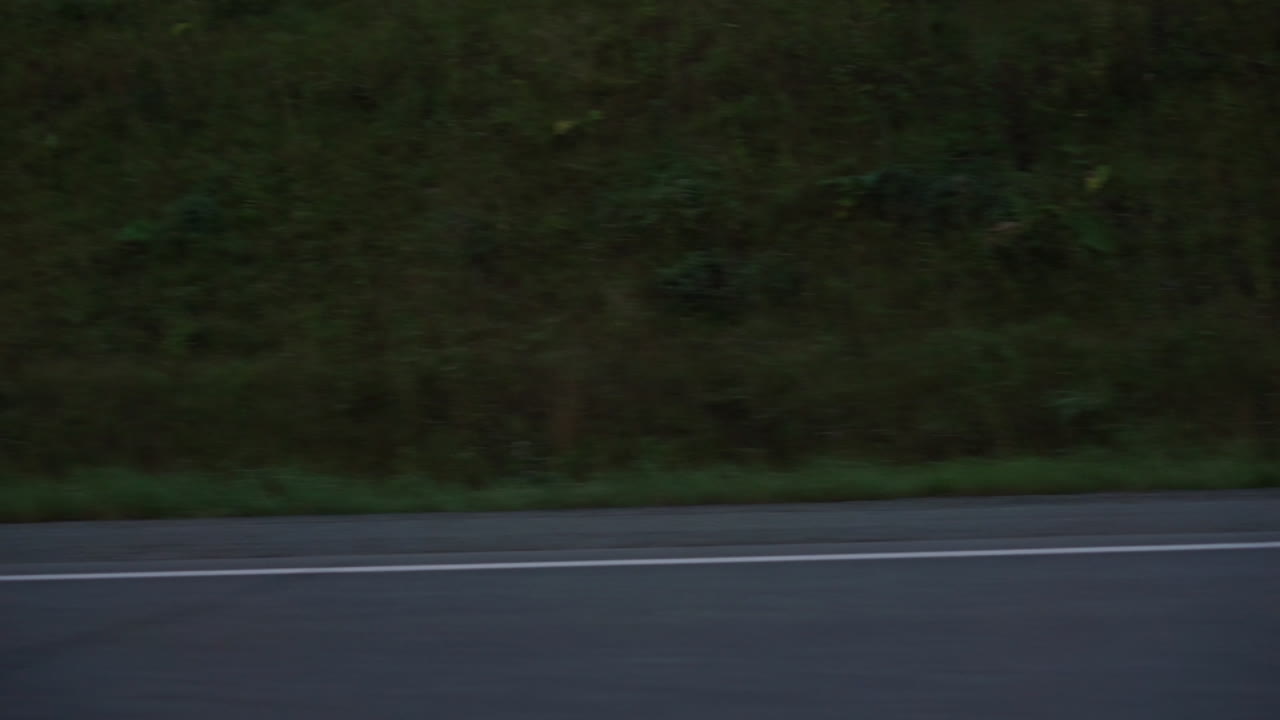 배경에 나무가 있는 도로에서 운전하는 은색 자동차