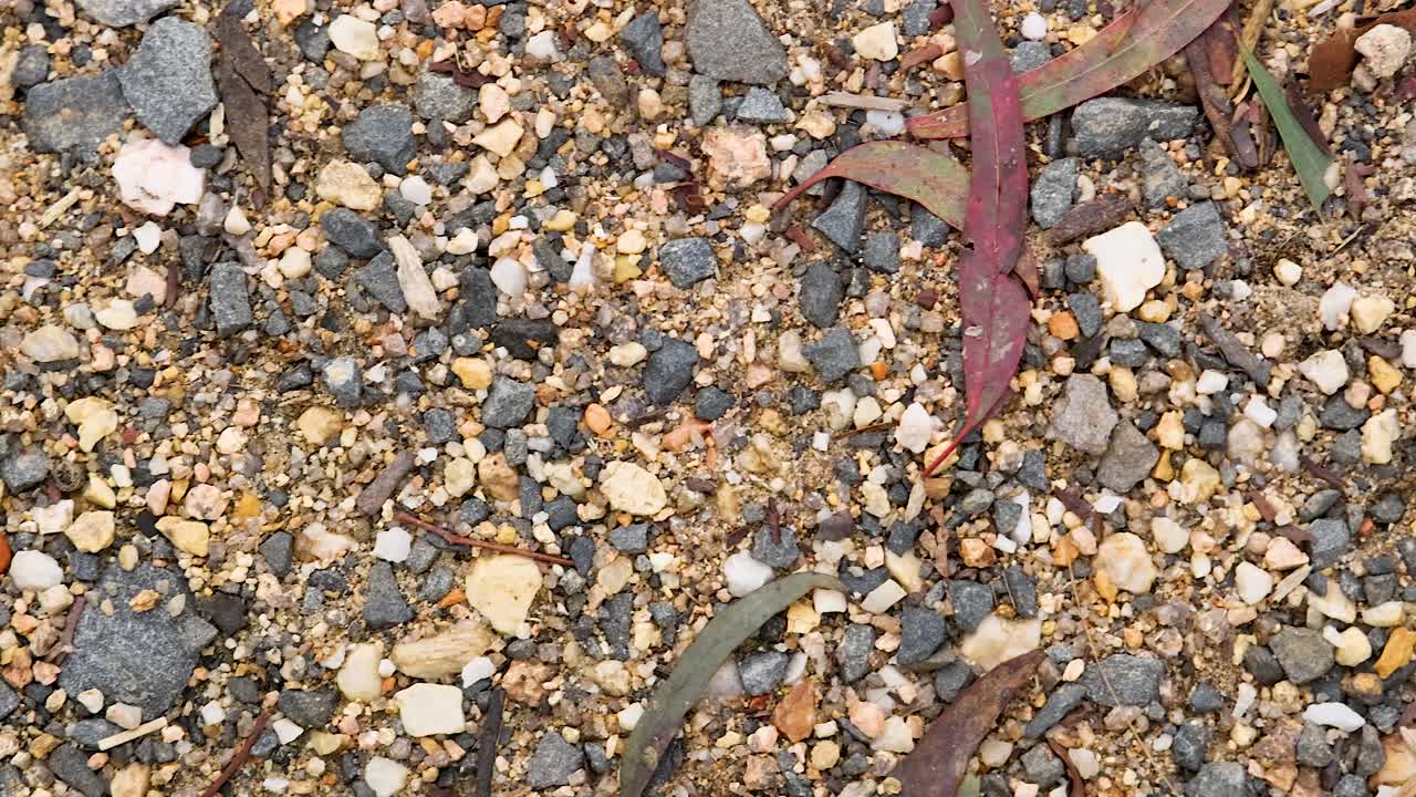 지상에 있는 자갈과 잎의 클로즈업