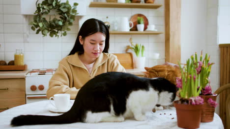 Mujer-Con-Gatos-En-La-Mesa-De-La-Cocina