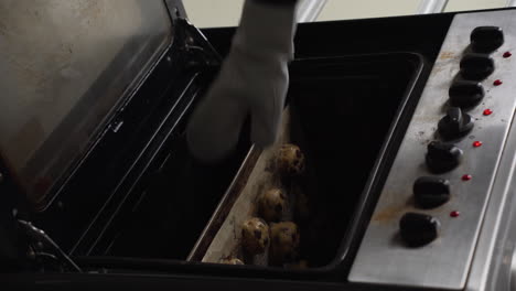 vertical shot of a pastry chef placing cookies inside pre-heated oven for baking