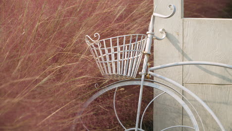 retro bicycle near pink muhly and white door frame at herb island farm