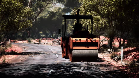 road roller tractor in the forest