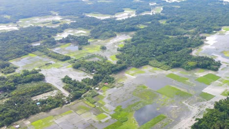 aerial view of sprawling wetlands, paddy field, rural cultivation