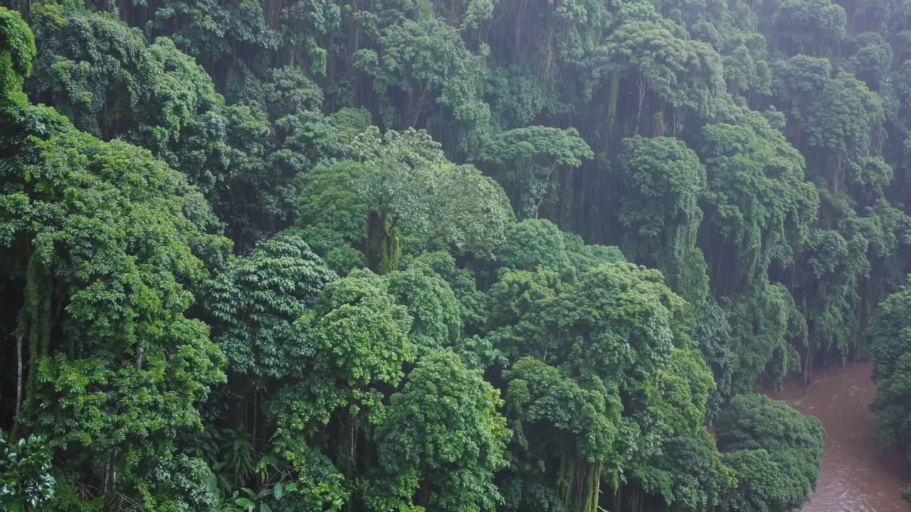 A serene video of an elephant in a lush jungle, captured from a low angle, highlighting its natural