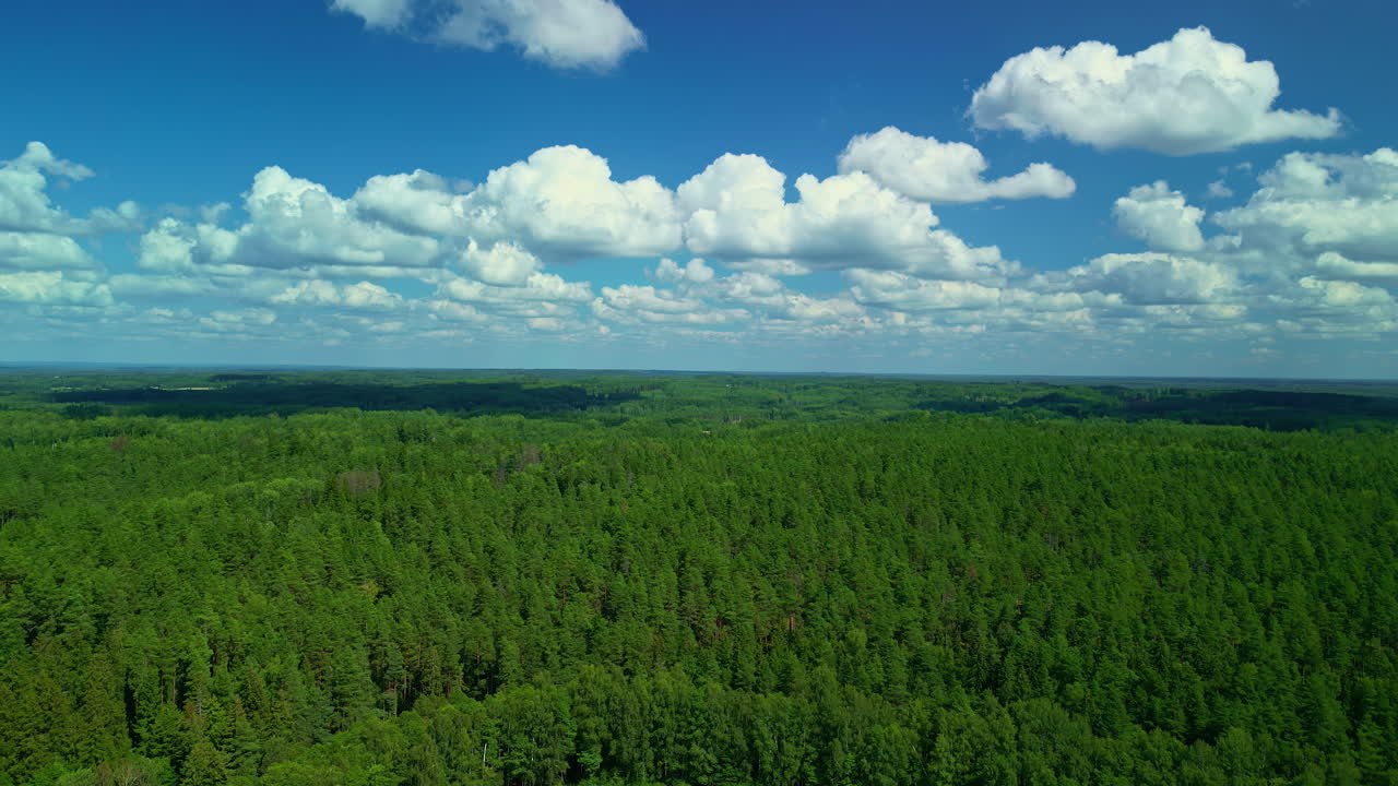 Aerial drone shot flying over a beautiful dense green forest with white clouds passing by on a sunny day