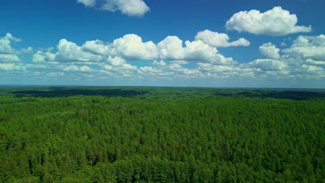 aerial drone shot flying over a beautiful dense green forest with white clouds passing by on a sunny day