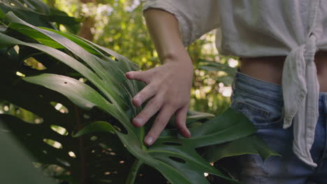 natura donna mano che tocca le piante nella foresta esplorando la bellezza naturale lussureggiante nel giardino 4k