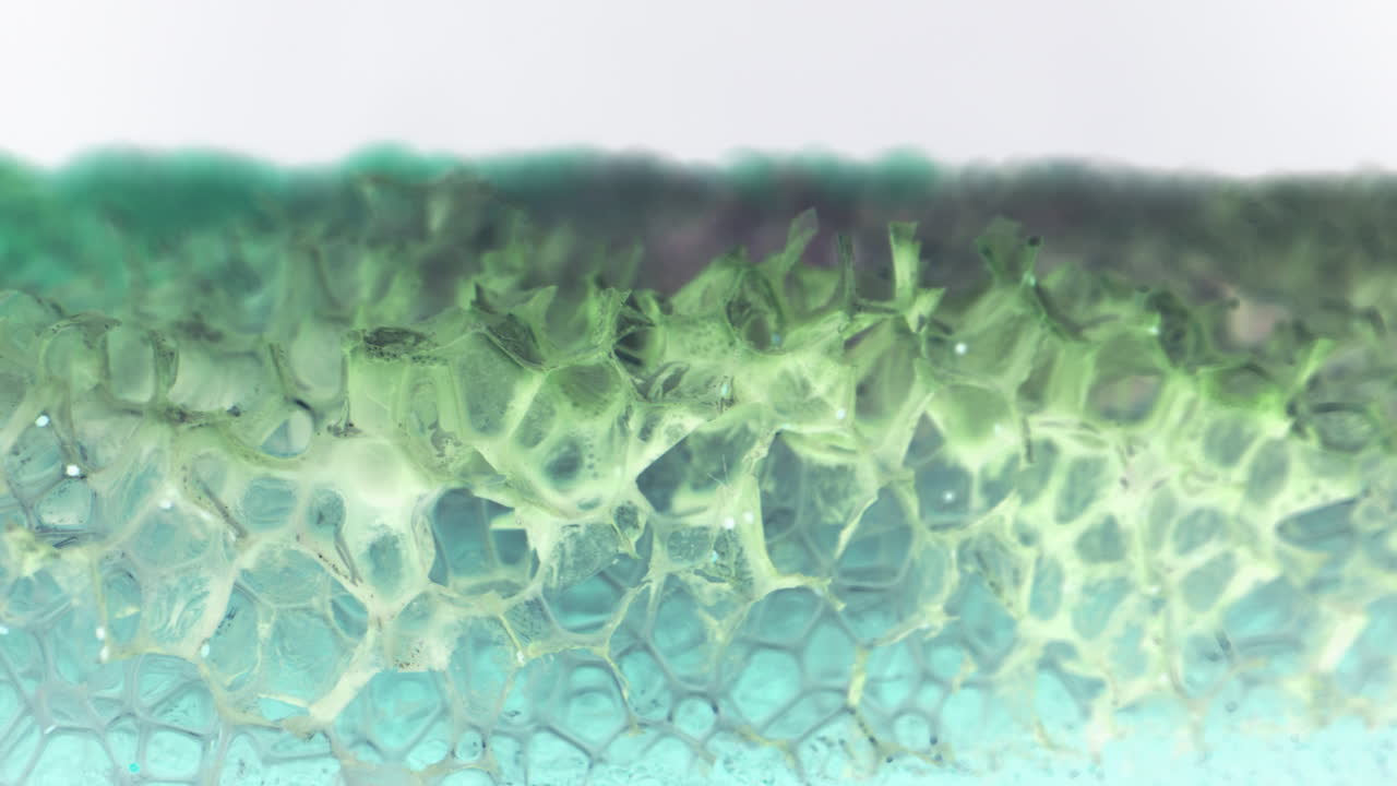 Close-up view of sponge texture