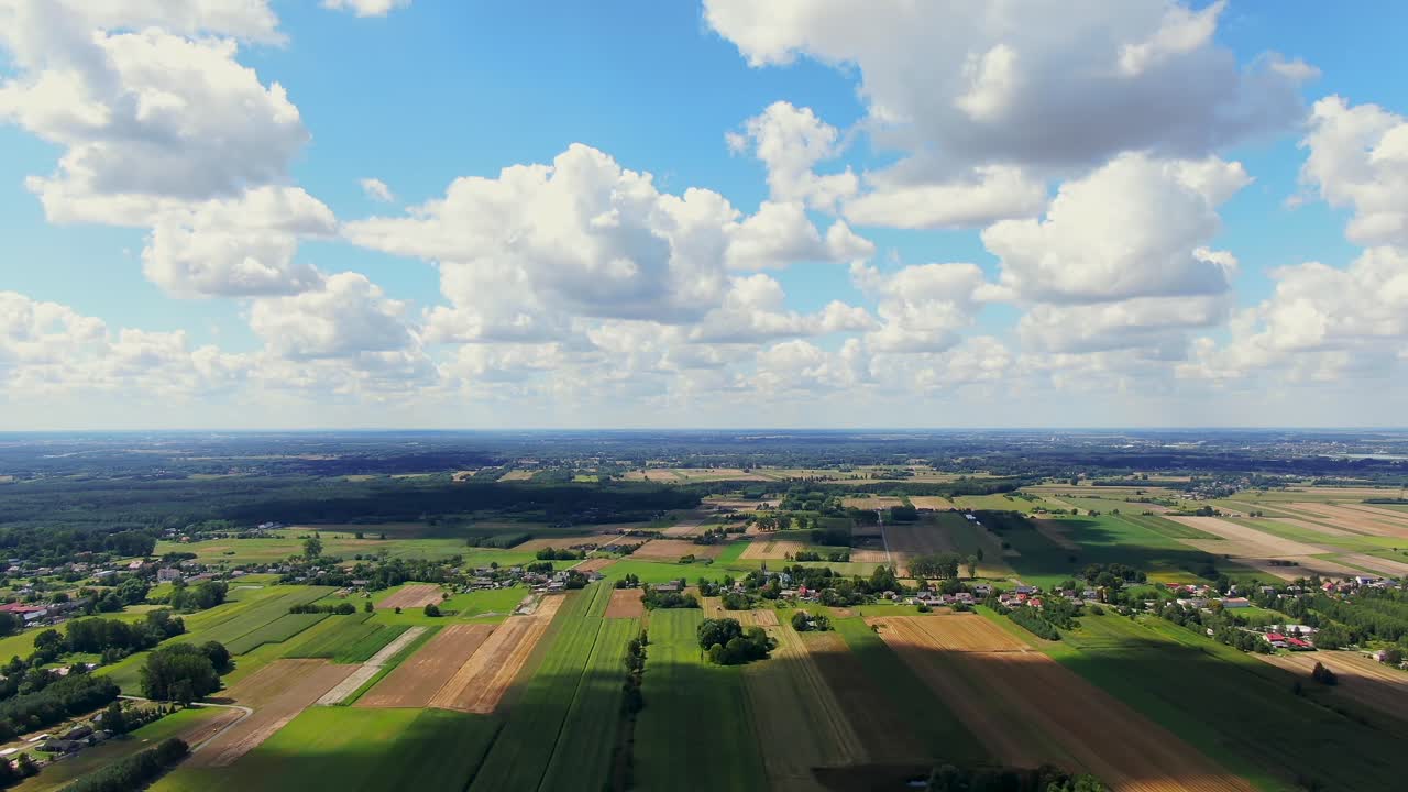 Bird's eye view of agricultural area and green wavy fields in sunny day