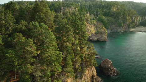 Wide-aerial-view-of-forest-meeting-the-ocean-near-California's-State-Route-1