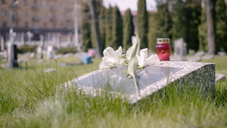 tombstone with a white flower and a grave candle in a graveyard on a sunny day 1