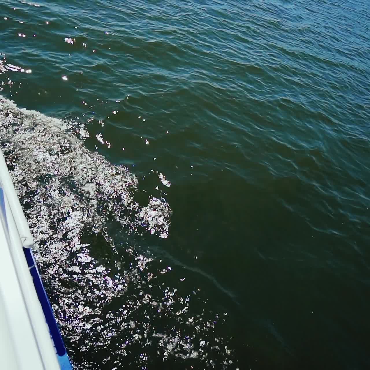 Boat sailing through ocean