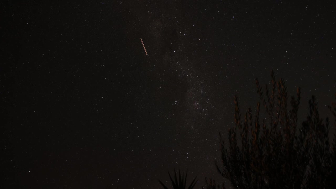 Stars and trees under a dark night sky