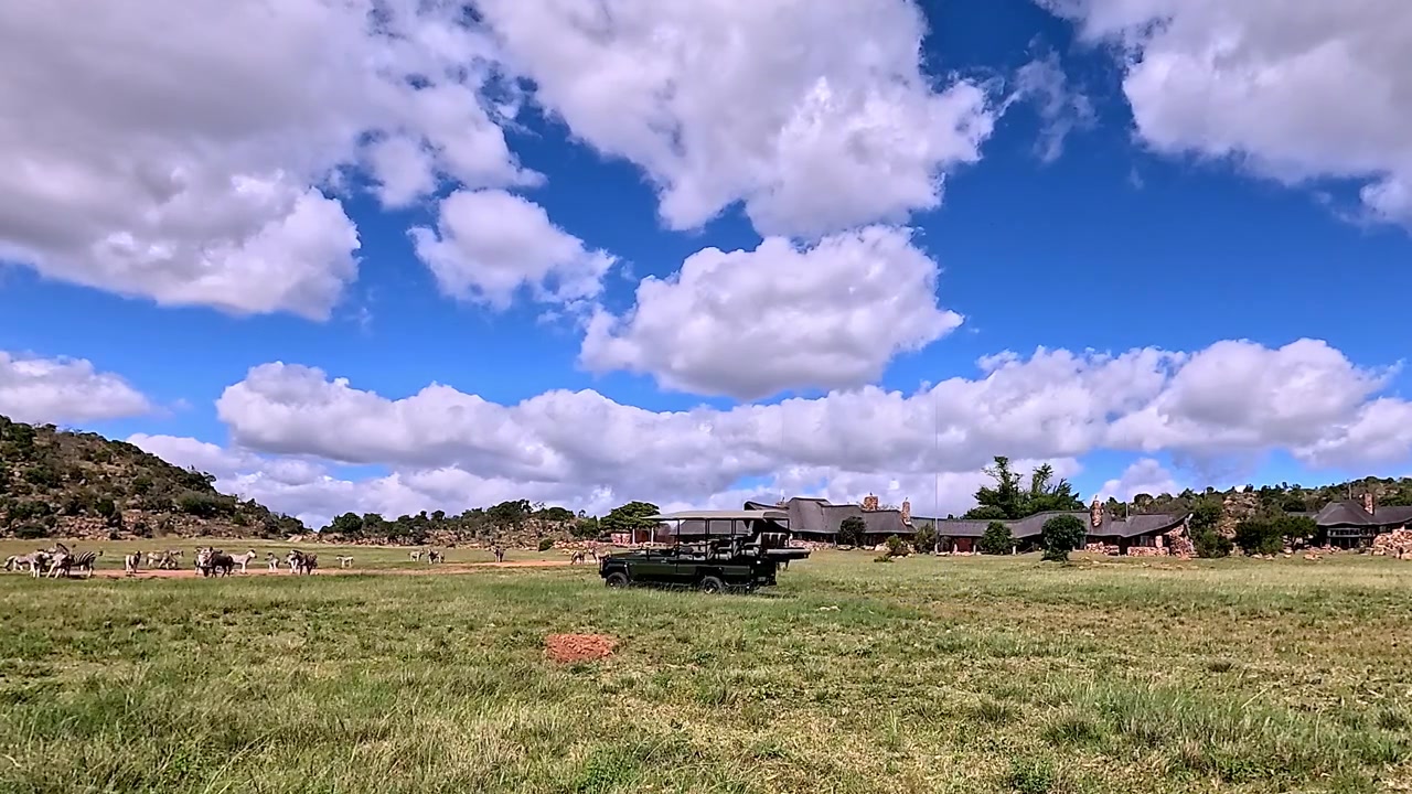 Safaribil kører forbi en vildtlodge med zebraer og hvide næsehorn, Afrika.