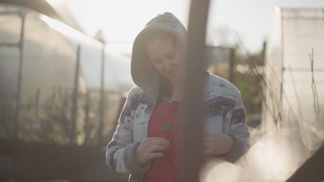Donna bianca in un giardino domestico che raccoglie erbe vicino a una serra con morbida luce solare mattutina e bokeh, felpa con cappuccio, sorriso gentile, che prepara erbe fresche per cucinare nell'orto sul retro.
