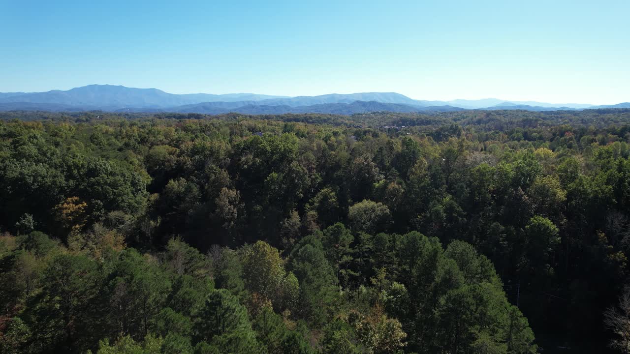 Drone shot moving forward towards the horizon, soaring above a vast forest landscape under a clear blue sky, revealing rolling hills and distant mountains in the background.
