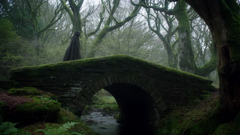person in cape on mossy bridge in forest