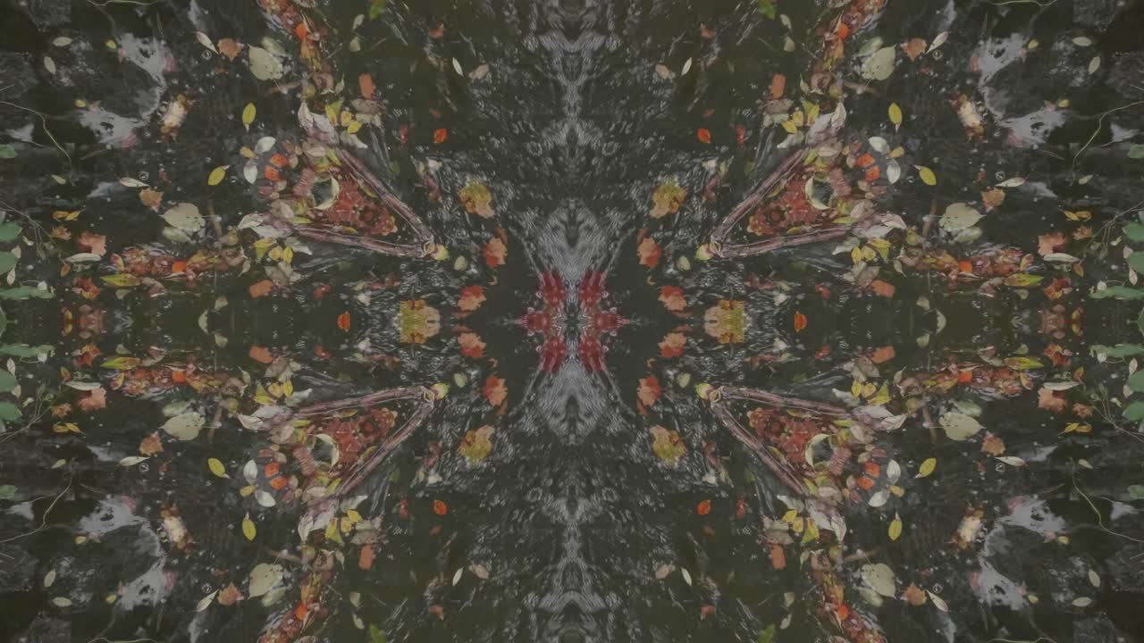 caleidoscopio de vegetación usando imágenes de bosque de wissahickon creek, philadelphia, #54