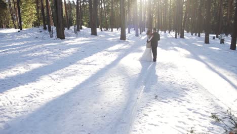 boda de invierno en un bosque