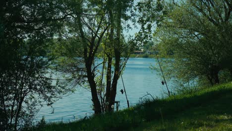 varas de pesca en la orilla del lago jarun en un hermoso día de primavera