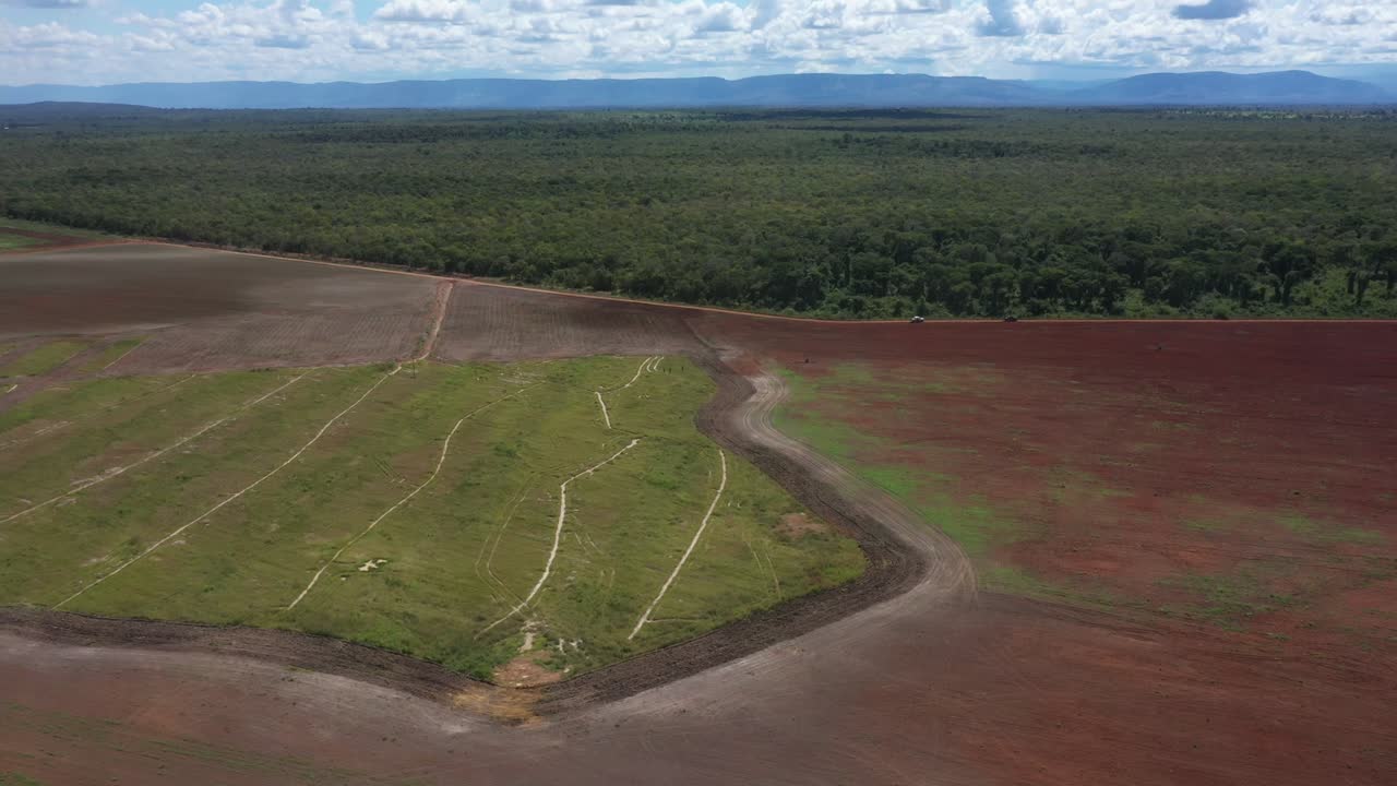 selva amazónica deforestada para crear tierras de cultivo en brasil - vista aérea