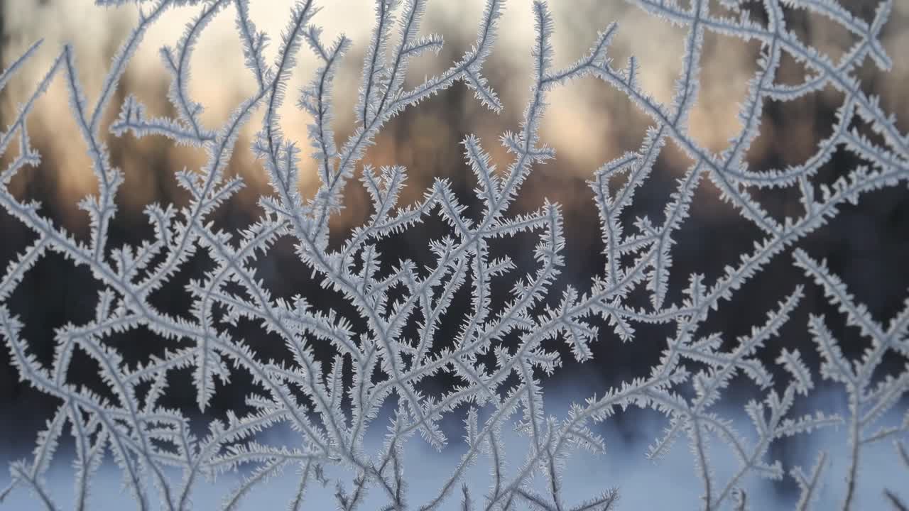 Close-up video of intricate frost patterns on a window, shot from a straight angle