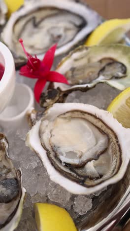 fresh oysters with lemon and ice