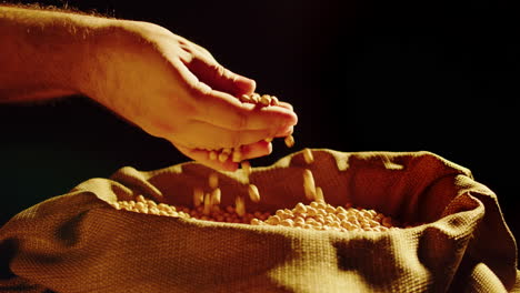 hand pouring grains into burlap sack