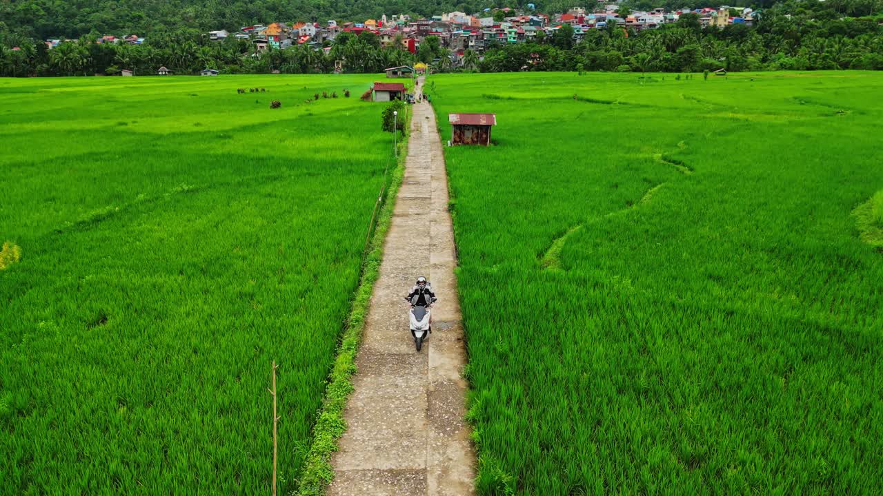 An aerial perspective reveals the intricate patterns of rice cultivation in Mahabang Tanaw, as a motorcyclist explores the rural roads of Lucban, Quezon