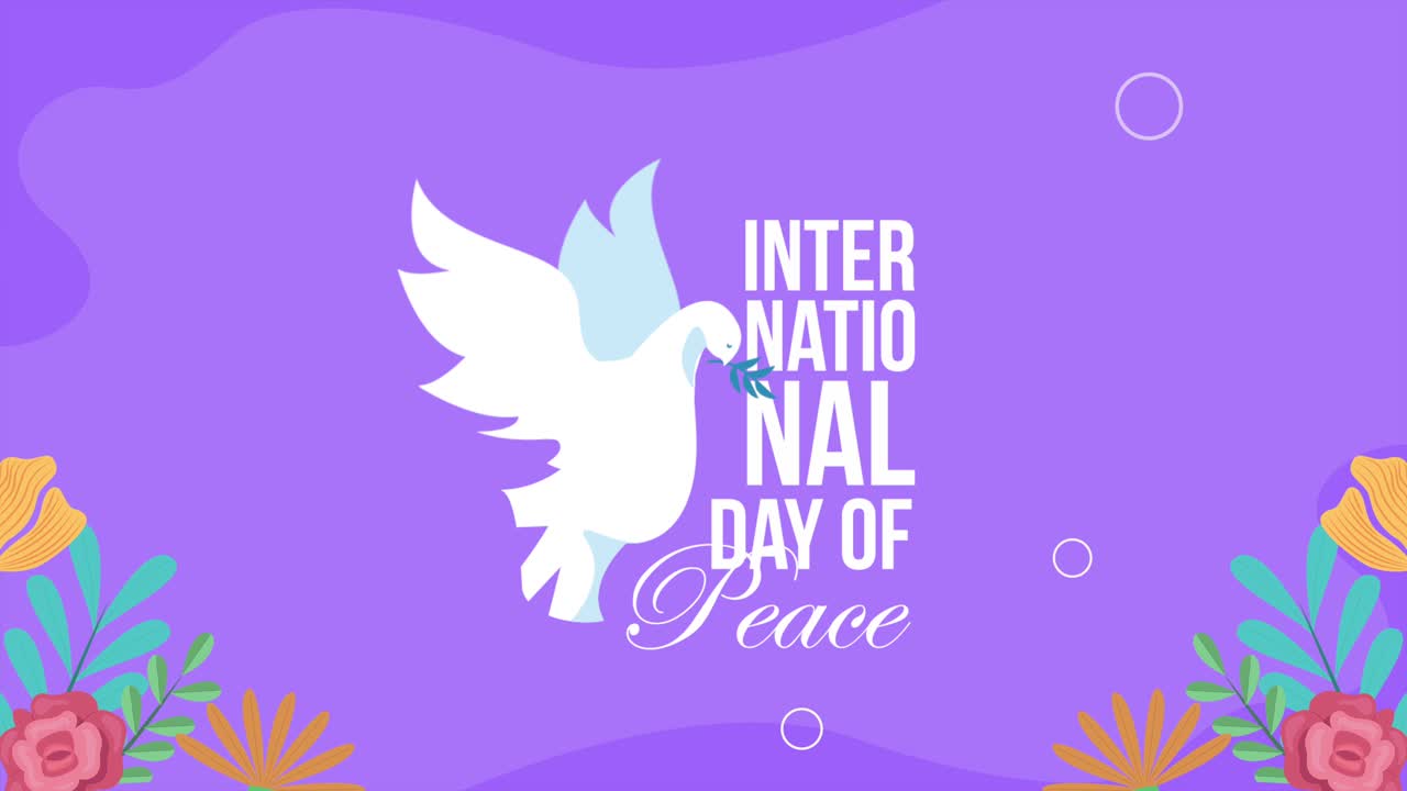 día internacional de la paz letras con paloma