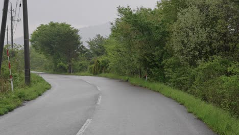 pheasant crossing road in tottori, countryside road on rainy day