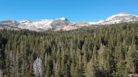 Aerial-view-forest-and-Sierra-Nevada-mountain-range-in-the-background,-California-natural-landscape