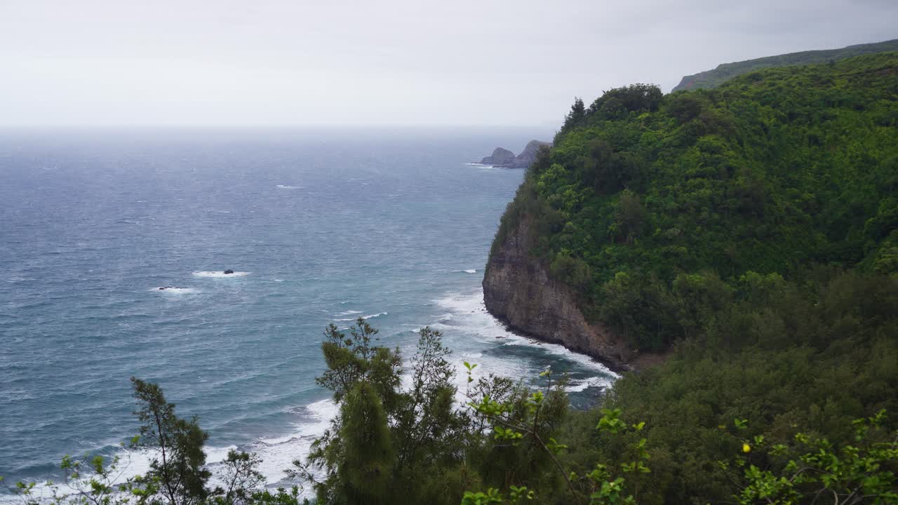 From a high lookout, a forested headland drops to the sea as white surf bands trace the shoreline, distant rocks soften in haze, and trade winds ruffle the gray-blue water