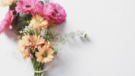 Video-of-bunch-of-multi-coloured-flowers-and-copy-space-on-white-background