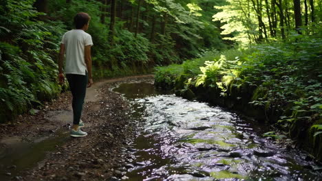 pessoa caminhando por um riacho da floresta