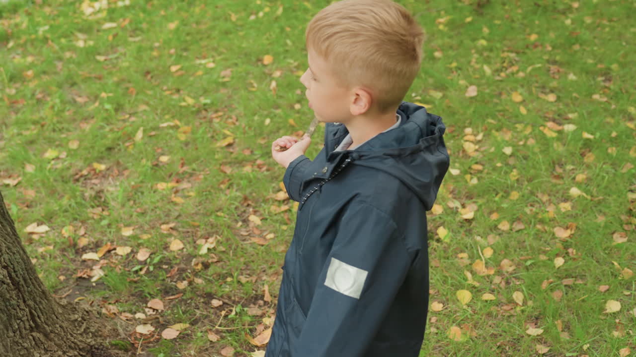 Valkoinen poika tutkii keppiä tarkasti puunrungon lähellä, pitää oksaa ja tarkastelee sen pintaa, keskittynyt ilme vihreässä puistossa, sadetakin hiha näkyvissä, havainnointihetki valmistautuessa koulun luontoon.