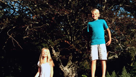 brother and sister bouncing on a trampoline