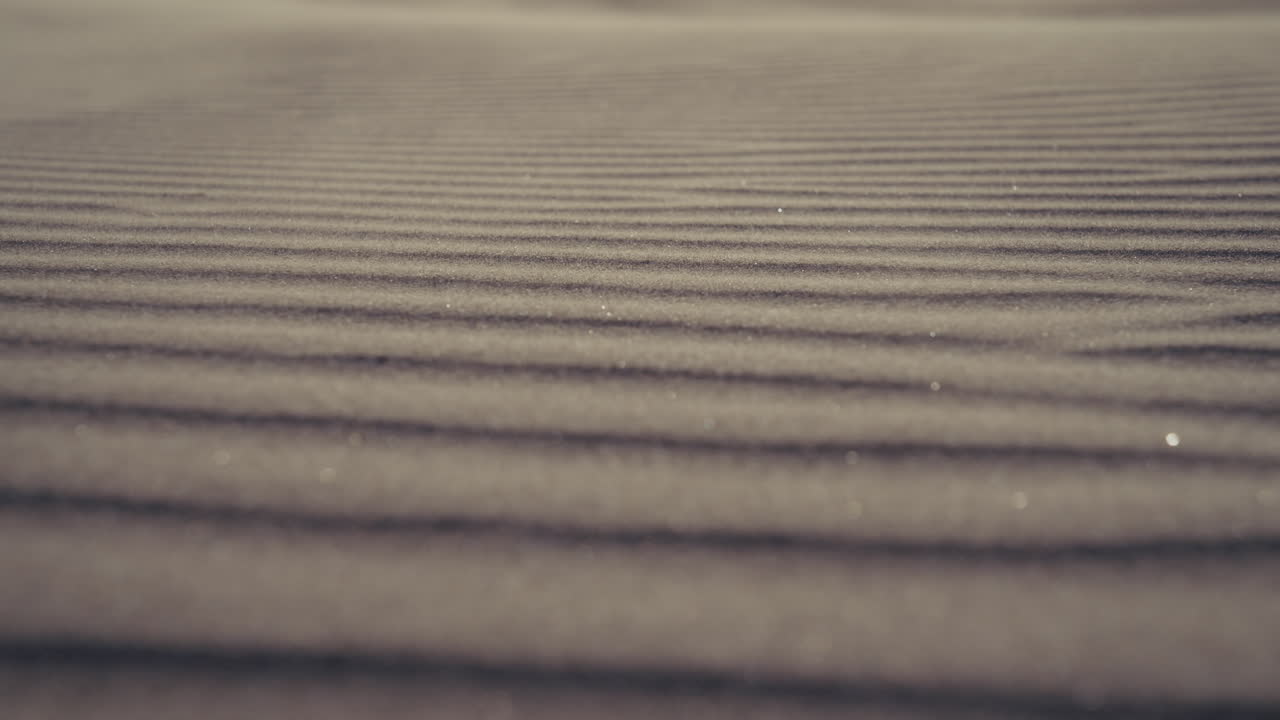 Close-up view of wind-swept sand dunes