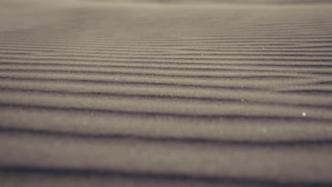 close-up view of wind-swept sand dunes