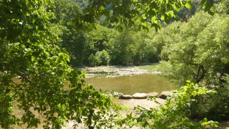 still shot peeking through rustling trees onto a serene river in wilderness