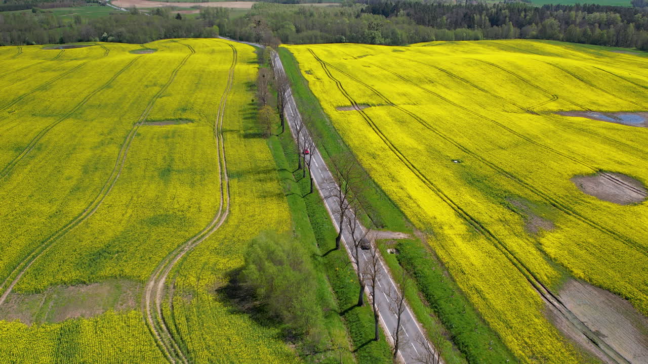 푸른 노란색 초록색  ⁇ 으로 둘러싸인 자연 속의 아름다운 도로 여행