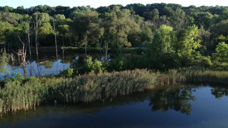 Aerial-view-of-fishing-pond-and-trees-at-Victor-Village-Park