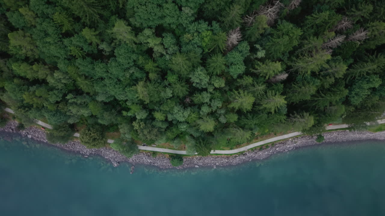 Aerial view of a Swiss lakeshore with clear blue water and rocky edge