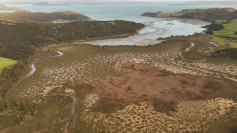 vast coastal estuary and wetland landscape on waiheke island, tidal flats, winding creeks, and lush forests, new zealand. aerial drone