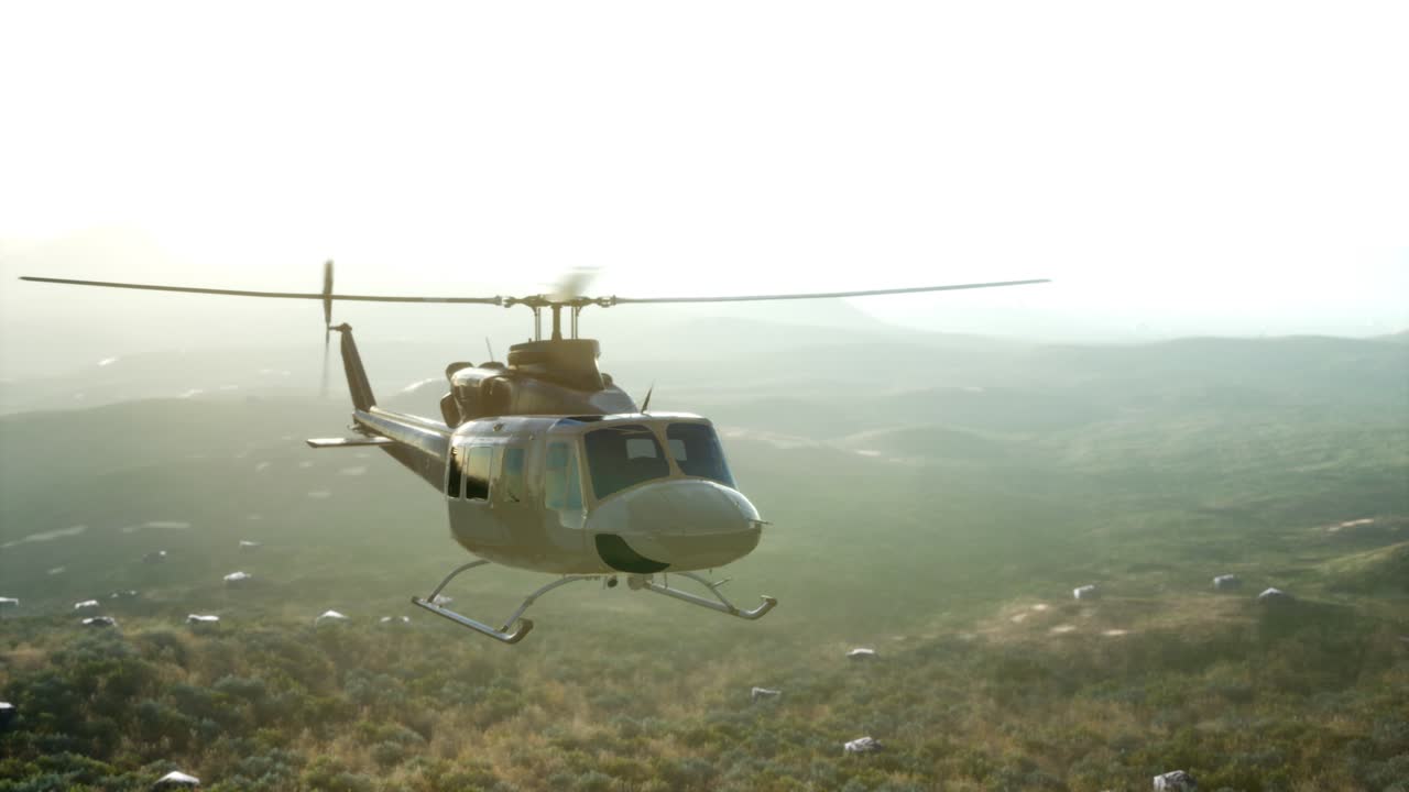 베트남에 있는 미국 군사 헬리 ⁇ 터