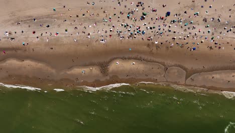 Drone-top-down-birds-eye-view-above-beach-goers-on-sandy-shore-with-green-ocean