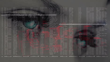 eyes observing data and cityscape animation with digital information overlay