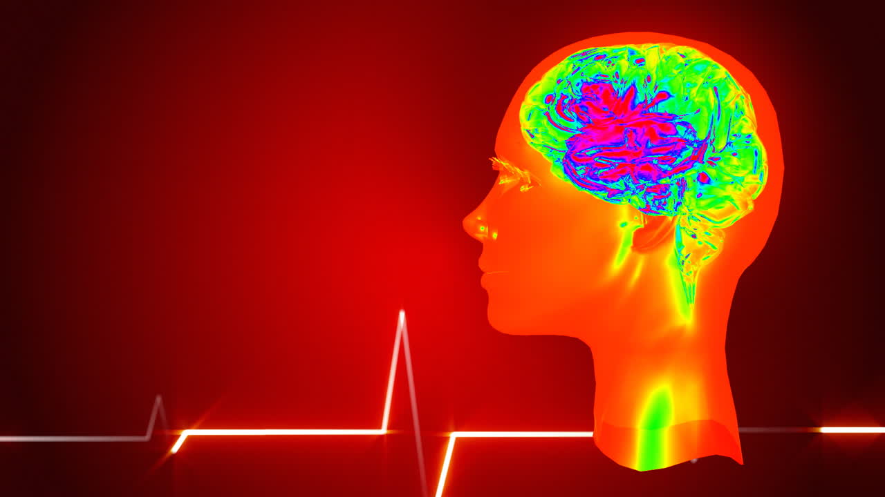 El cerebro humano en 3D